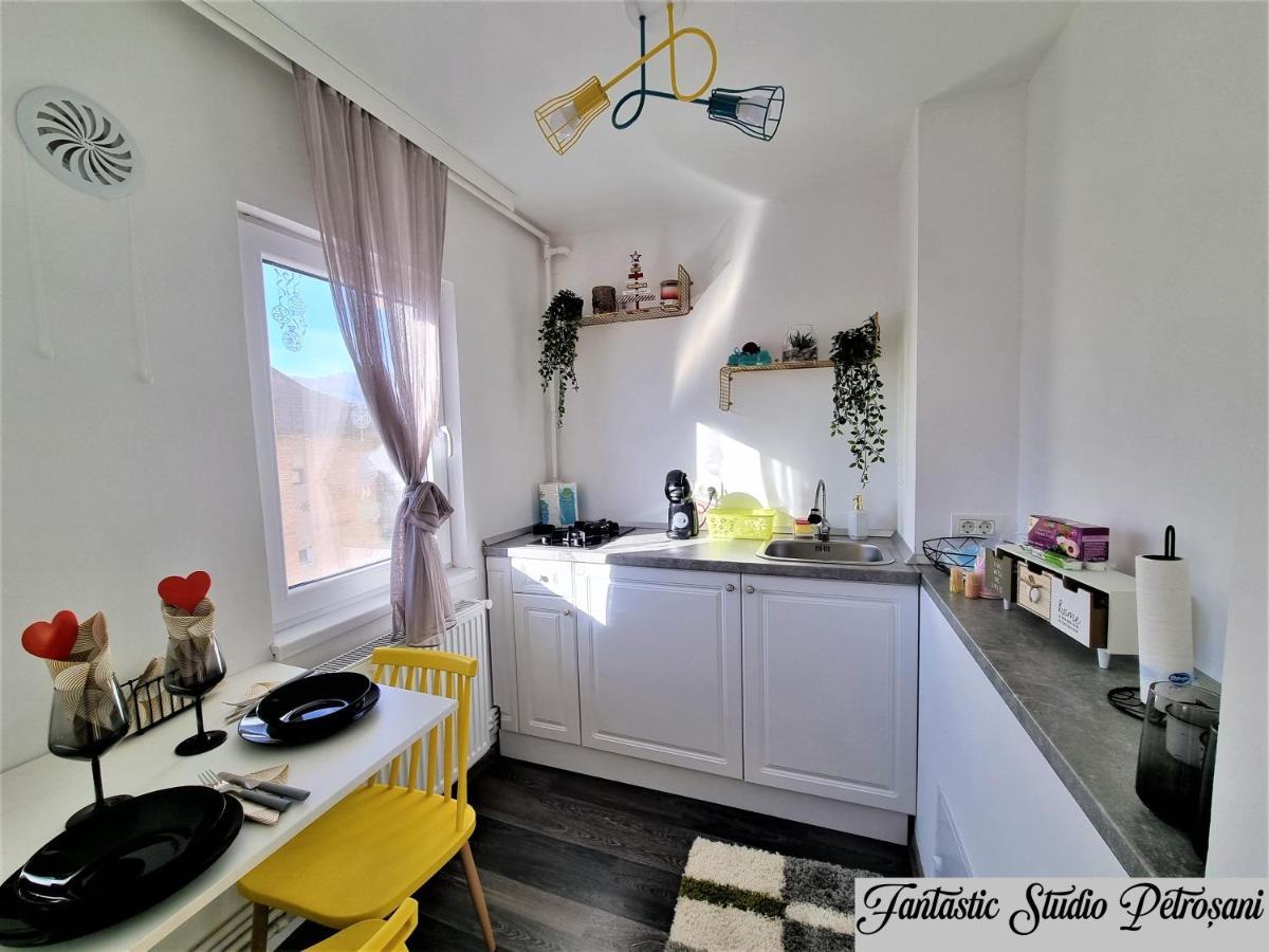 ~Fantastic Studio Petrosani~公寓 外观 照片